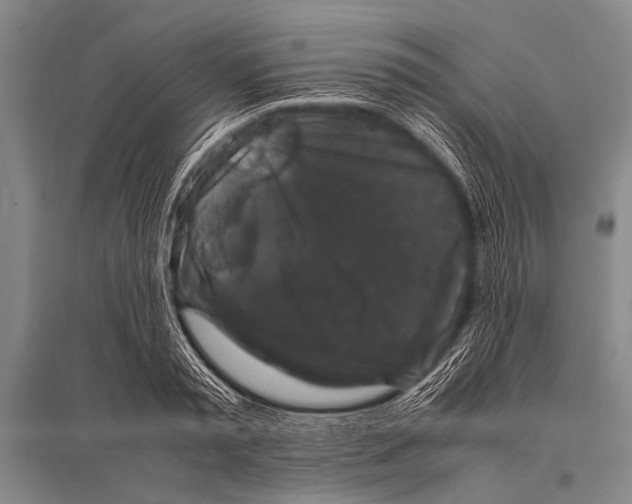 X0000094820797200712141643