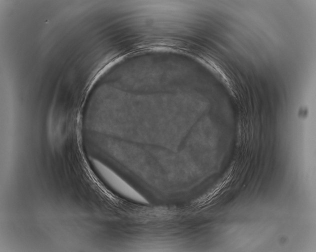 X0000094820798200712141643