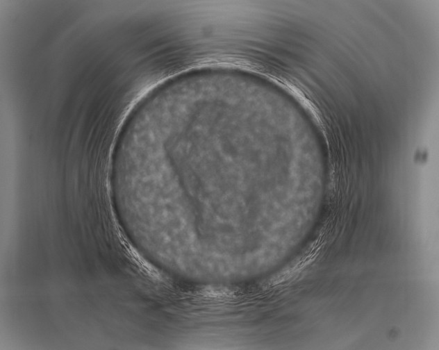 X0000094820799200712141643