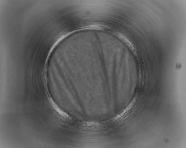 X0000094820800200712141643