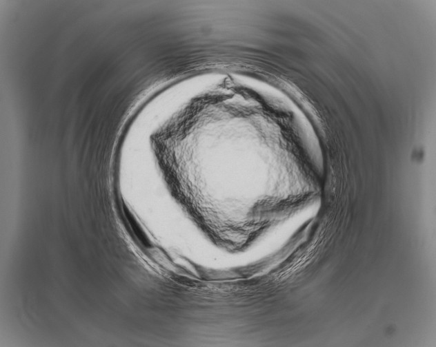 X0000094820803200712141643