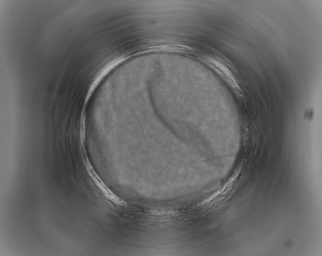 X0000094820804200712141643