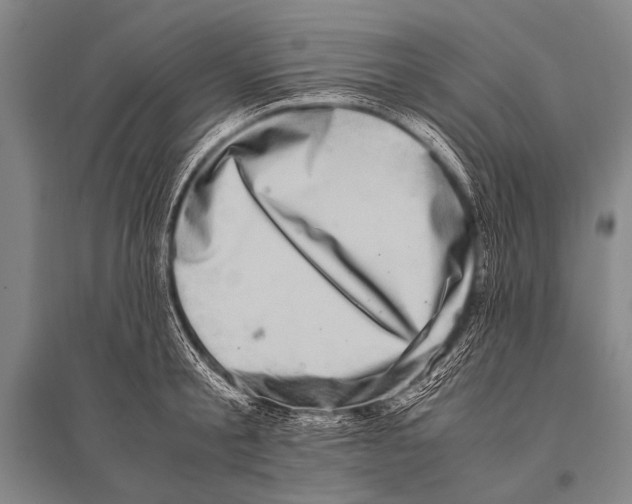 X0000094820805200712141643