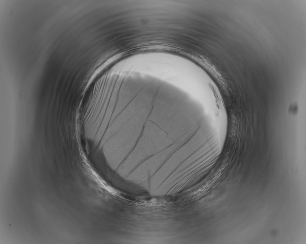 X0000094820806200712141643