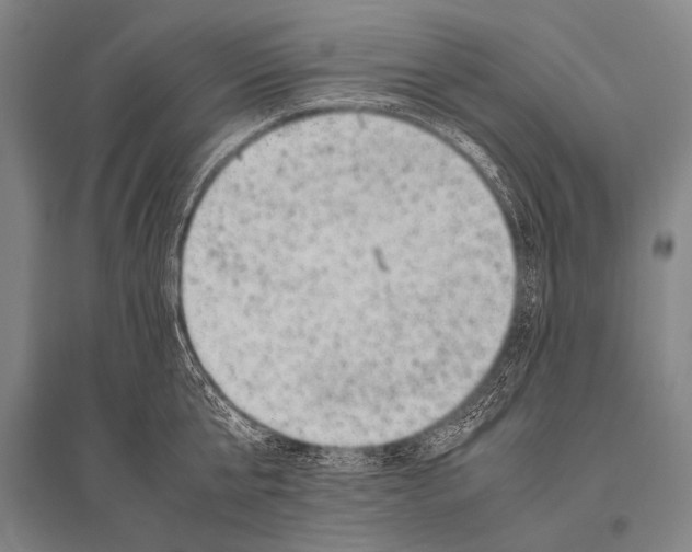 X0000094820807200712141643