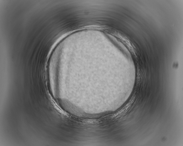 X0000094820808200712141643