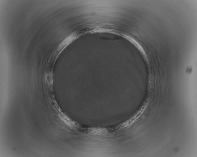 X0000094820809200712141643