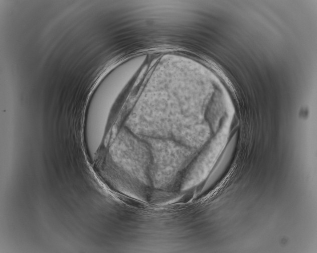 X0000094820810200712141643