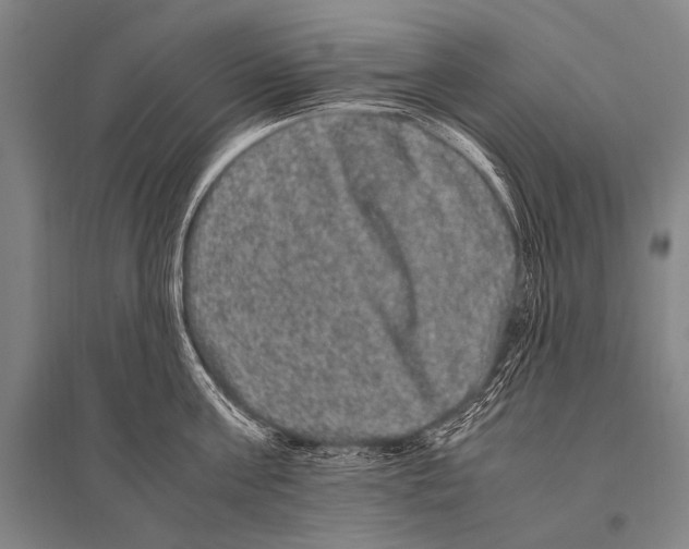 X0000094820811200712141643