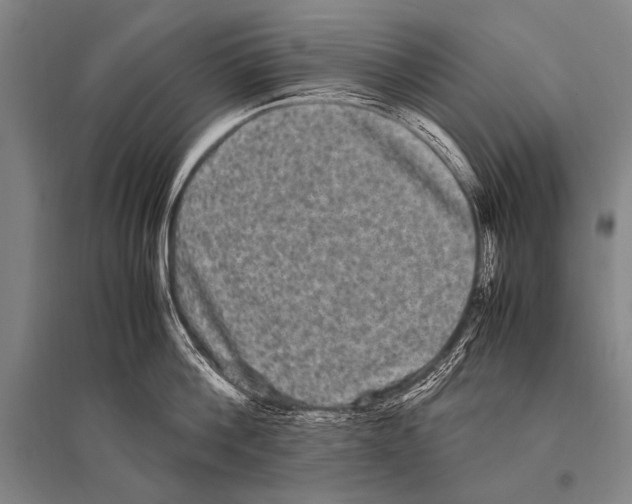 X0000094820812200712141643