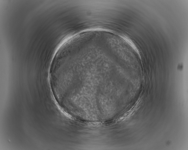 X0000094820813200712141643