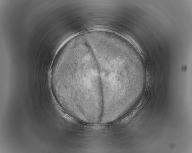 X0000094820814200712141643