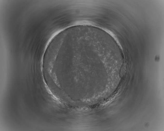 X0000094820815200712141643