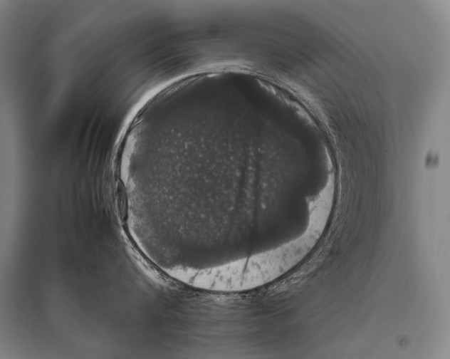 X0000094820816200712141643