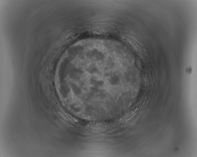 X0000094820817200712141642