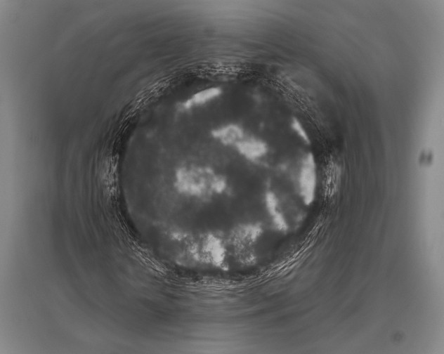 X0000094820818200712141642