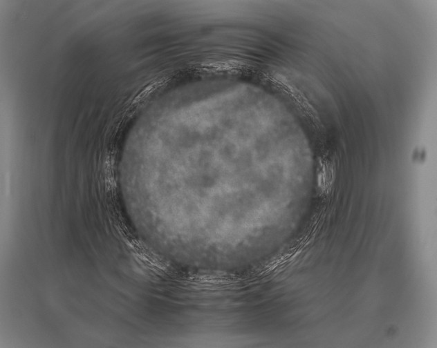 X0000094820819200712141642