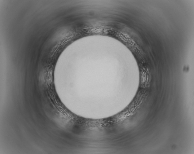 X0000094820820200712141643