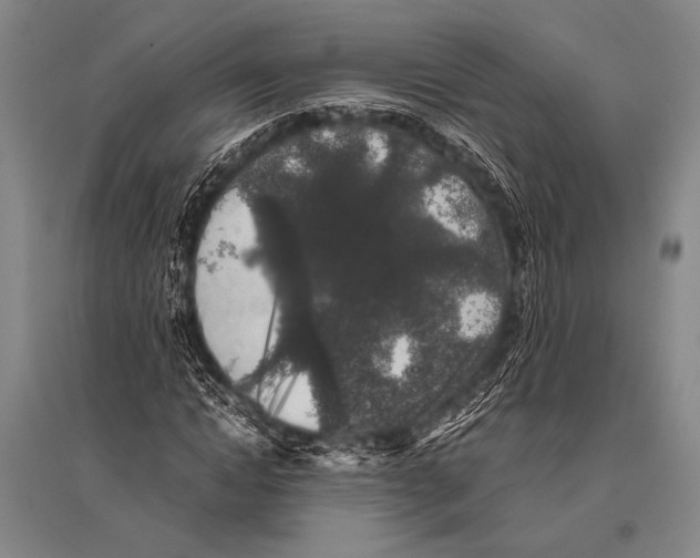 X0000094820822200712141643