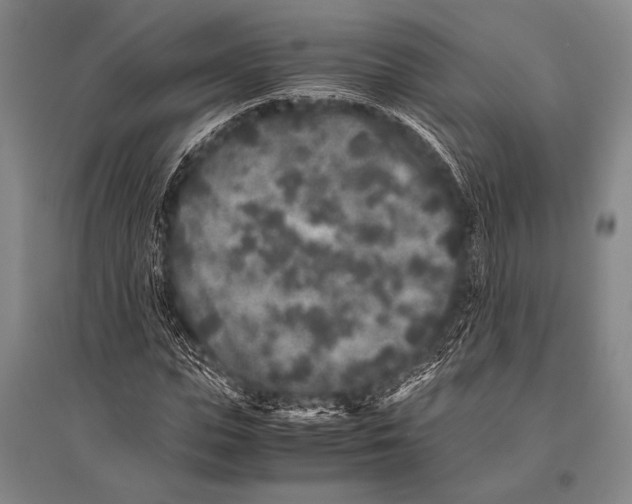 X0000094820823200712141643