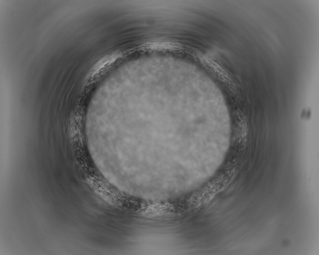 X0000094820824200712141643