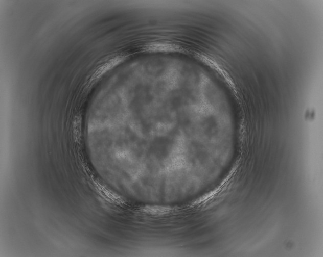 X0000094820825200712141643