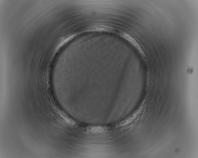 X0000094820826200712141643