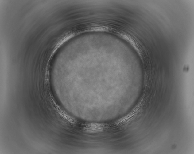 X0000094820827200712141643