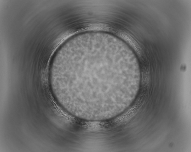 X0000094820828200712141643