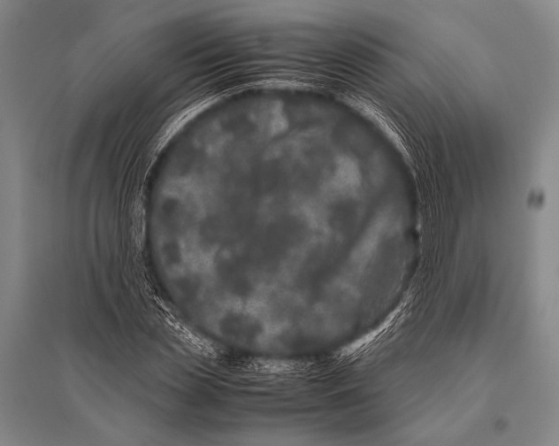 X0000094820829200712141643