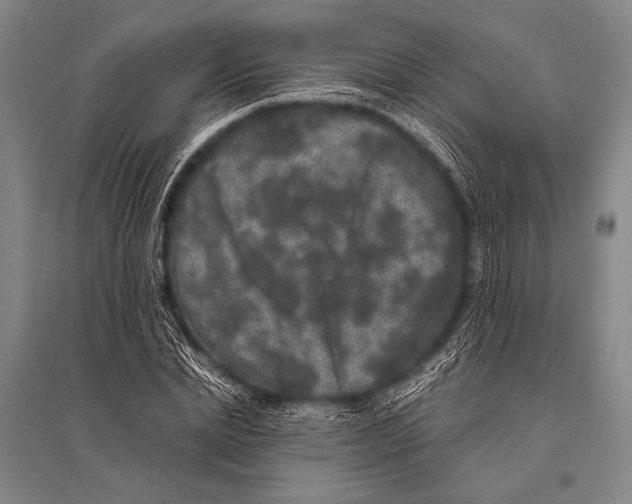 X0000094820830200712141643