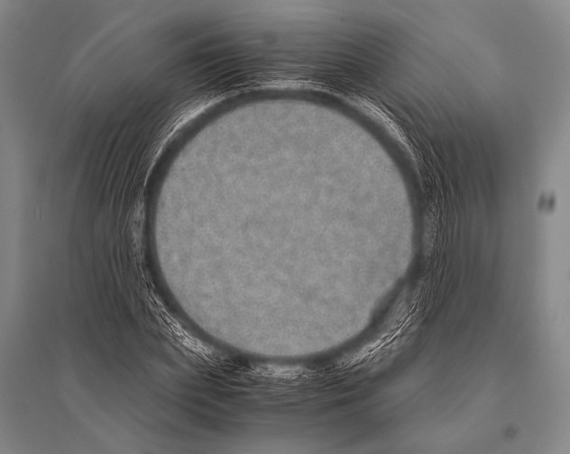 X0000094820831200712141643