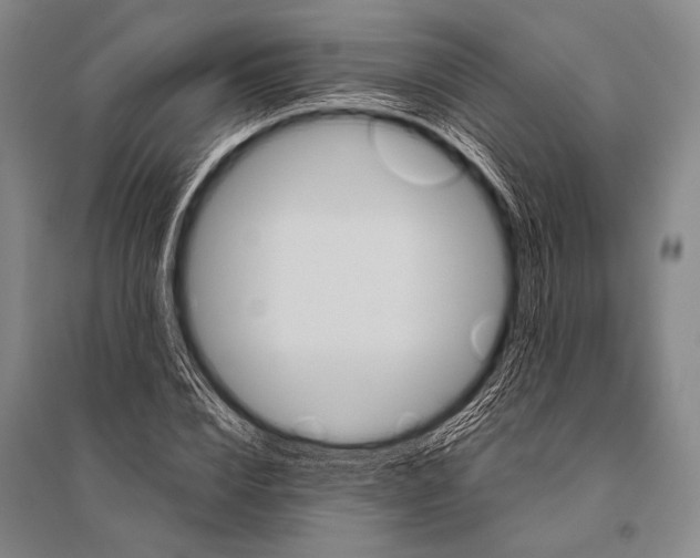 X0000094820832200712141643