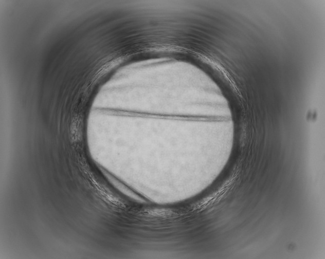 X0000094820833200712141643