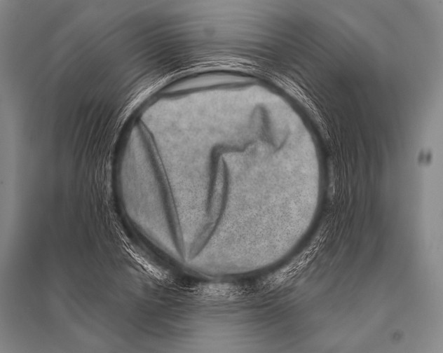 X0000094820834200712141643