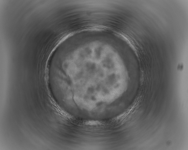 X0000094820835200712141643