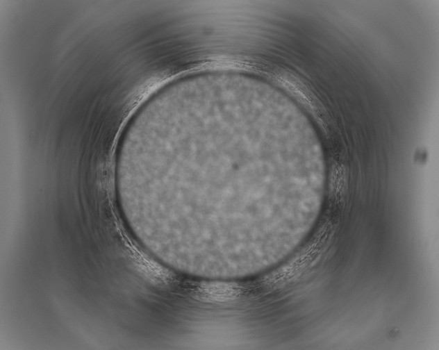 X0000094820836200712141643