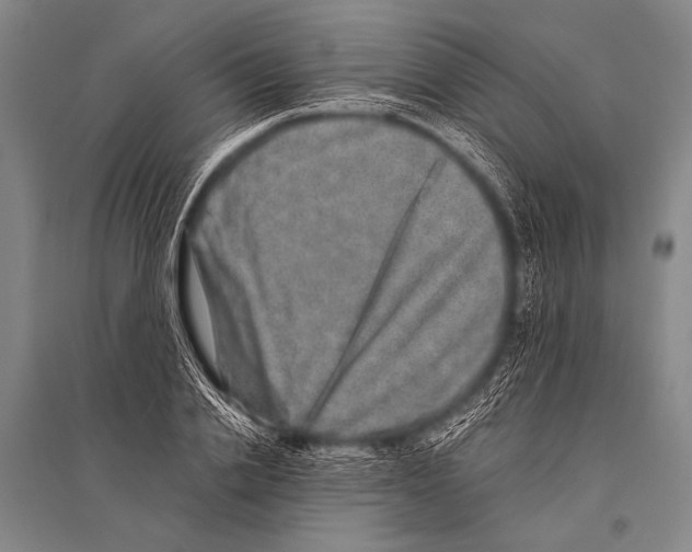 X0000094820838200712141643