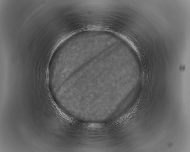 X0000094820839200712141643