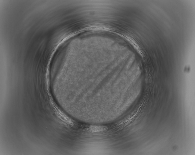 X0000094820840200712141643