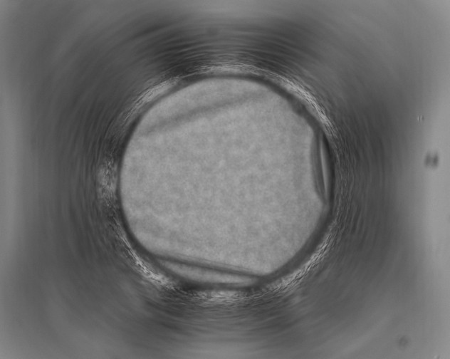 X0000094820841200712141643