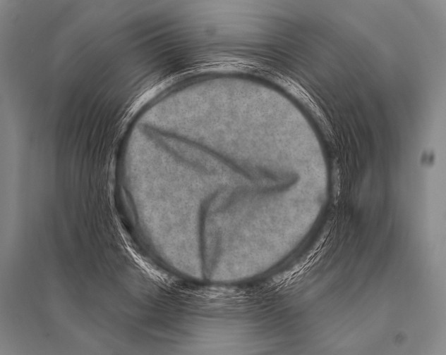 X0000094820842200712141643