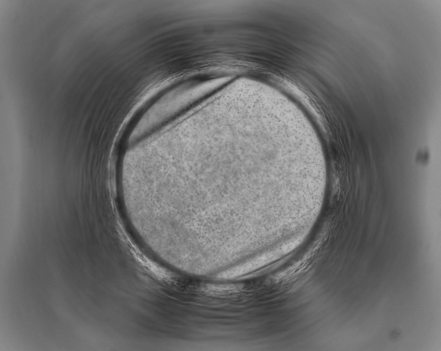 X0000094820843200712141643