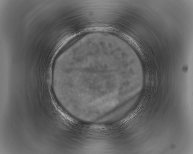 X0000094820844200712141643