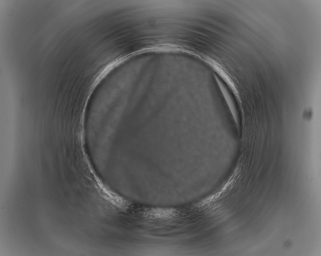 X0000094820845200712141643