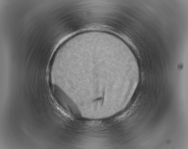 X0000094820846200712141643