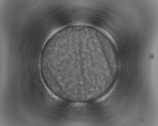 X0000094820847200712141643