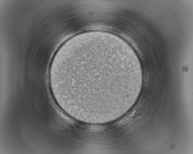 X0000094820848200712141643