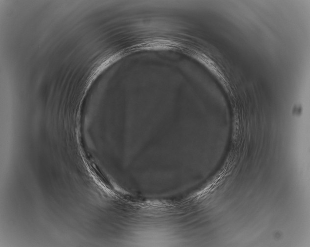 X0000094820850200712141643