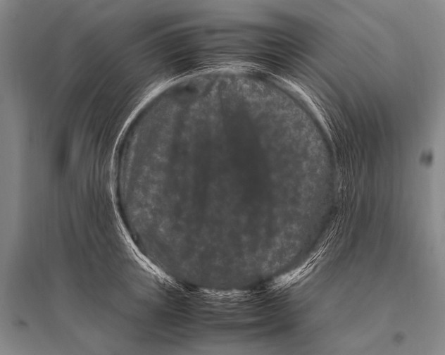 X0000094820851200712141643